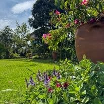 Jardines circundantes a la cabaña
